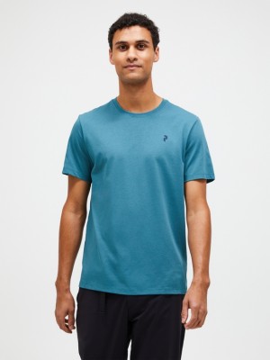 Blue Men Peak Performance Explore Graphic T-shirt | US-OVAGQ1382