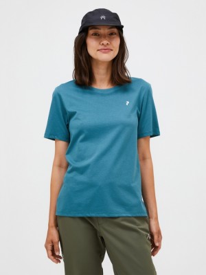 Blue Women Peak Performance Explore Graphic T-shirt | US-KADPM1804