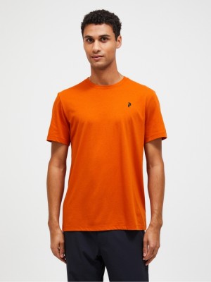 Dark Orange Men Peak Performance Explore Graphic T-shirt | US-AMWTY4879