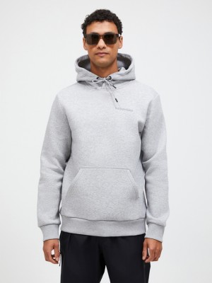 Grey Men Peak Performance Original Small Logo Hood Hoodie | US-PLGXE1432