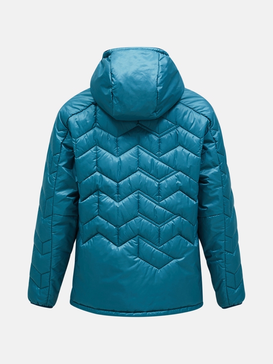 Blue Men Peak Performance Elevate Hood Down Jacket | US-BTPGI0824