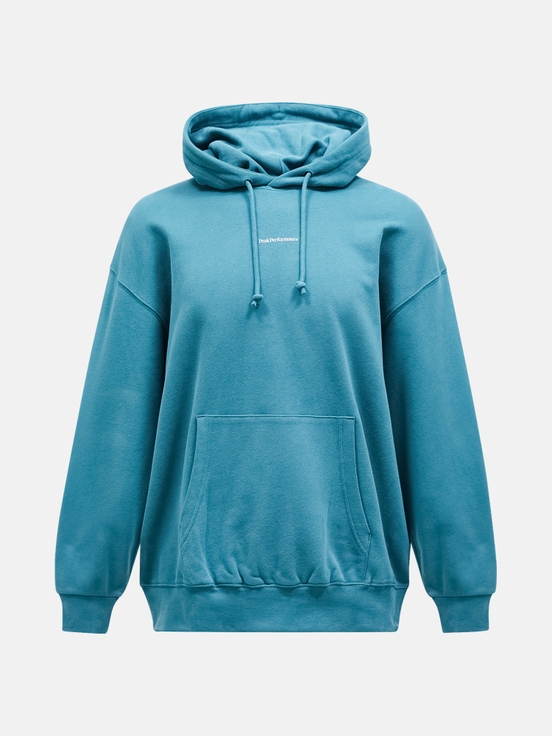 Blue Men Peak Performance Original Terry Hoodie | US-UDQSI4937