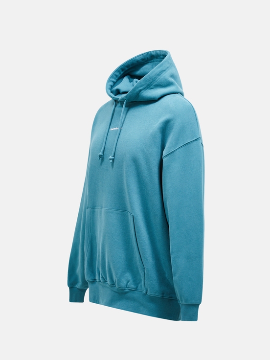 Blue Men Peak Performance Original Terry Hoodie | US-UDQSI4937