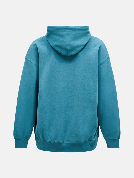 Blue Men Peak Performance Original Terry Hoodie | US-UDQSI4937