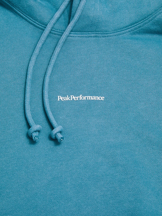 Blue Men Peak Performance Original Terry Hoodie | US-UDQSI4937