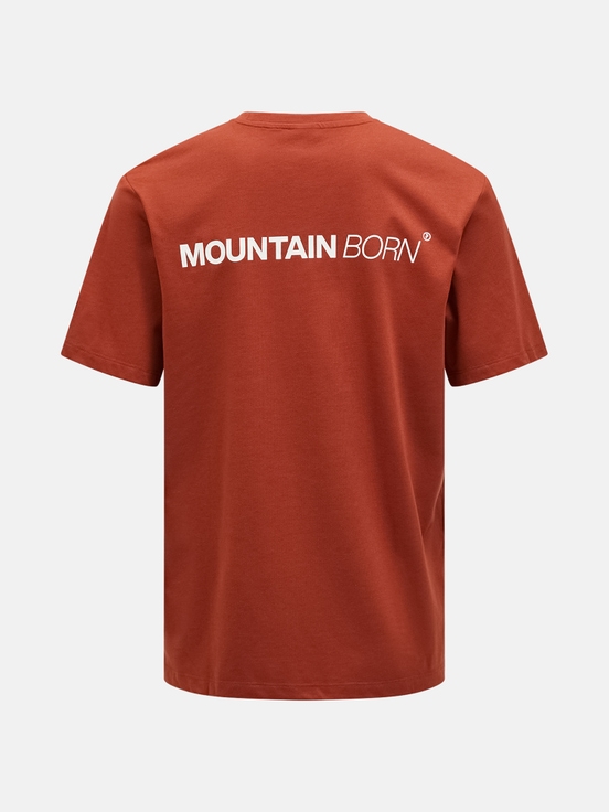 Brown Orange Men Peak Performance Explore Graphic T-shirt | US-OSJDN9746